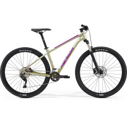 Rower MERIDA BIG.NINE 300